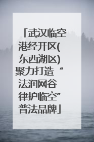 武汉临空港经开区(东西湖区)聚力打造“法润网谷 律护临空”普法品牌
